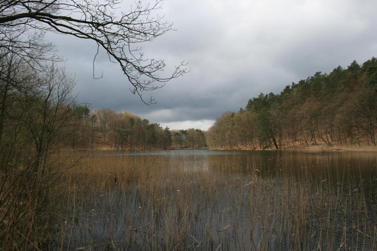 Ustronie Lesne 2 Villa Wisełka Kültér fotó